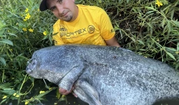 Sumcov� pruty SPORTEX: Nezdoln� s�la s 10letou z�rukou