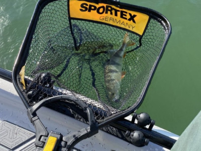 Sportex podbrk pro kadho rybe