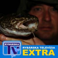 RTV Extra: Kde a jak chytit mnka