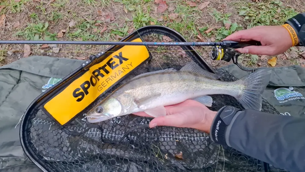 Expert Erik testuje p��vla�ov� prut SPORTEX Black Arrow G4 u vody