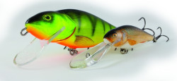 Salmo rybsk woblery PERCH PH8F