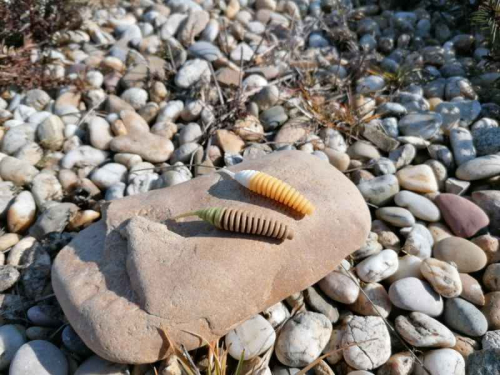 Dipovan� um�l� n�strahy FishUP Tanta 63mm / 8ks