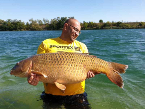 Sportex T-Shirt Tri�ko s velk�m logem - �lut�